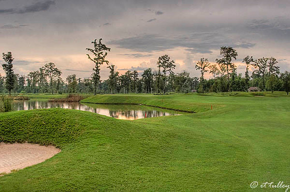 TPC Louisiana #16