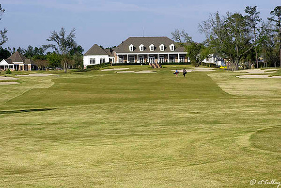 Gray Plantation #18