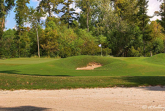 TPC Louisiana #5
