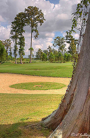TPC Louisiana #6