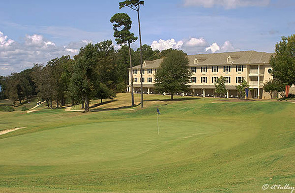 Cypress Bend #18 green