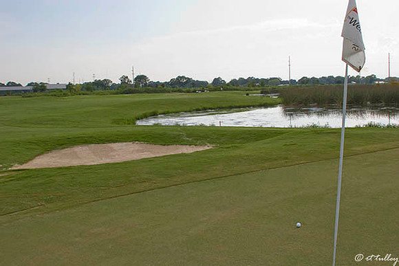 the Wetlands #17
