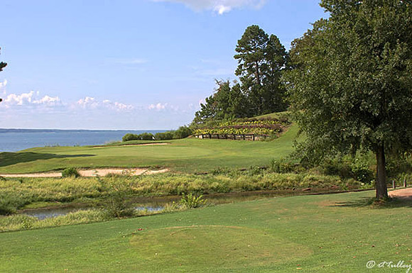 Cypress Bend #17