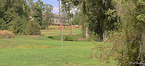 Cypress Bend #17