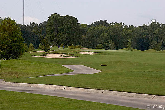 Atchafalaya #1