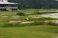 Atchafalaya at Idlewild