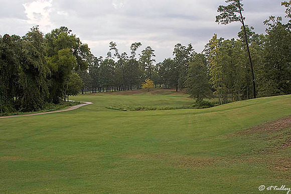Cypress Bend #9