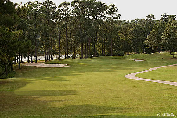 Cypress Bend #8 green