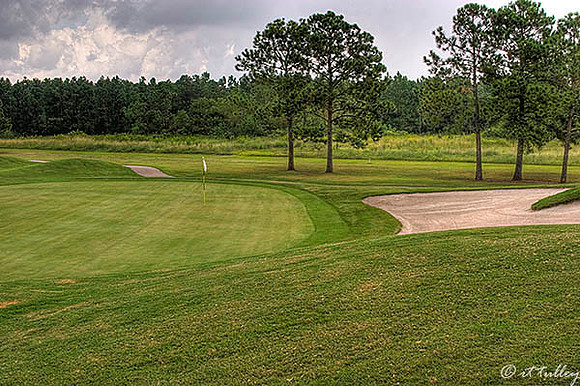 Gray Plantation #13