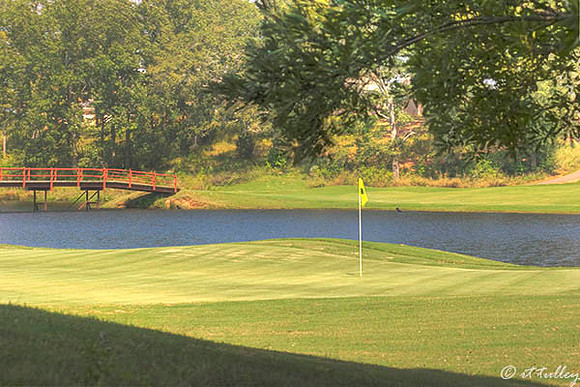Olde Oaks Oak #9