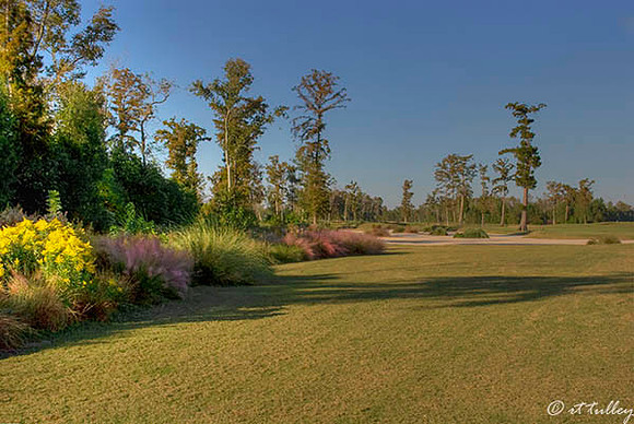 TPC Louisiana #13