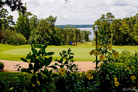 Cypress Bend #18 green