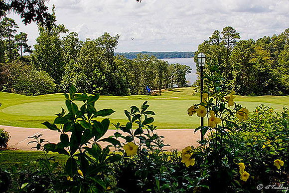 Cypress Bend #18 green