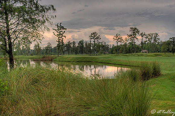 TPC Louisiana #16
