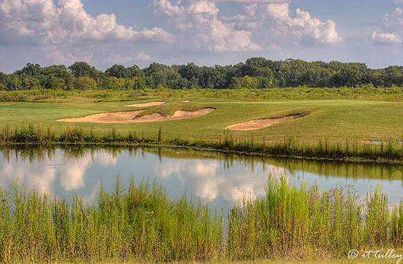 Black Bear GC #13
