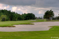 Gray Plantation #1