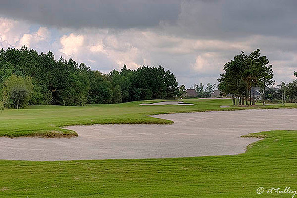 Gray Plantation #1