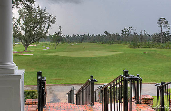 Gray Plantation #18 green