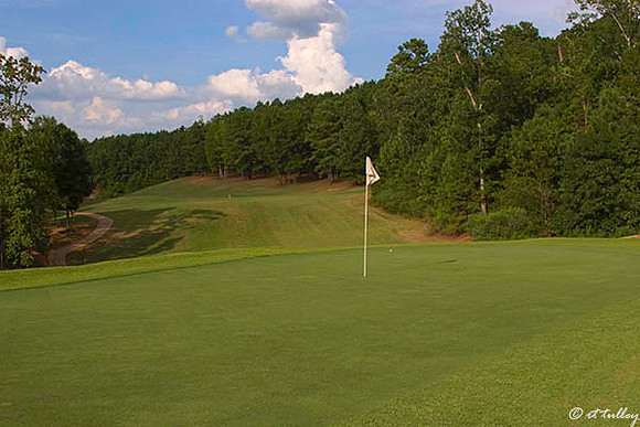 Cypress Bend #5