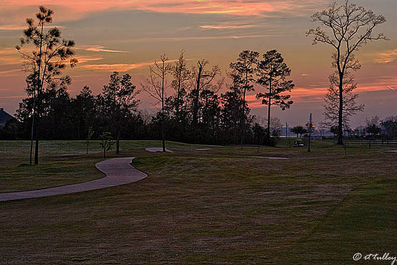 Gray Plantation #9 Sunset