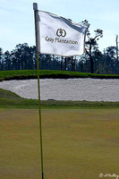 Gray Plantation Flag