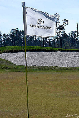 Gray Plantation Flag