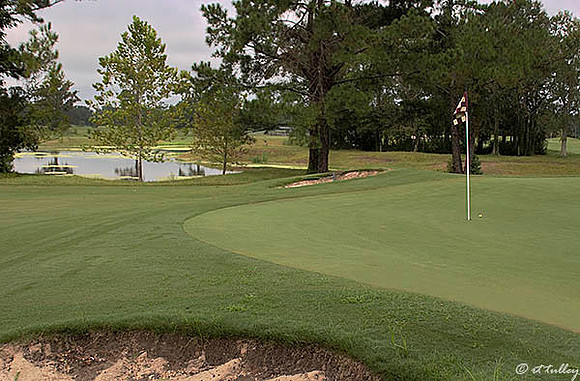 Atchafalaya #10 green