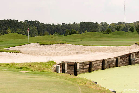Atchafalaya #18 Green