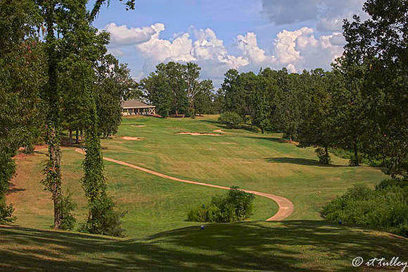 Cypress Bend #18