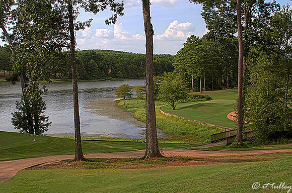 Cypress Bend #6 tee