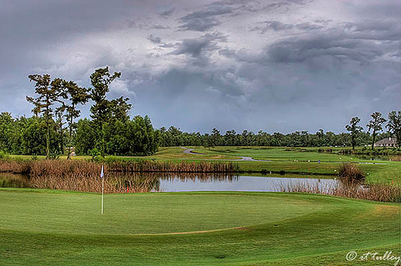 TPC Louisiana #17