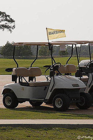 the Wetlands Marshall Cart