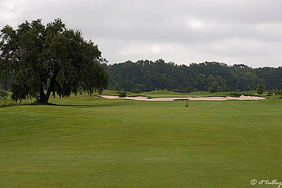 Atchafalaya #16