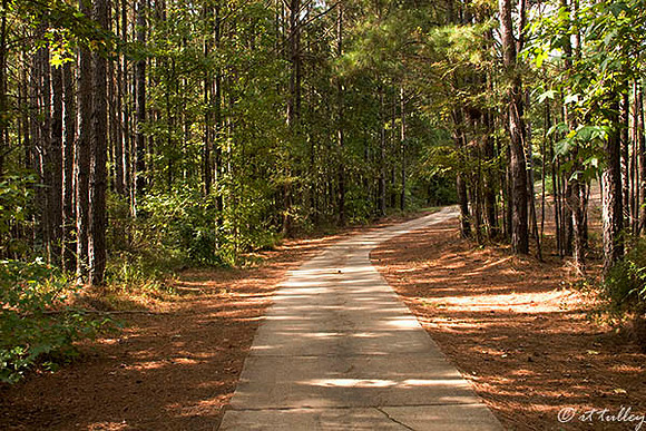 Cypress Bend Cart Path