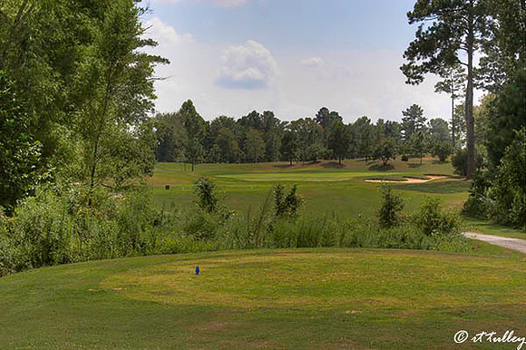 Olde Oaks Oak #8