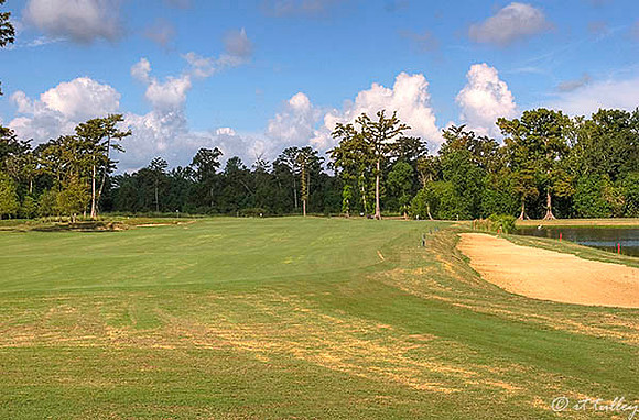 TPC Louisiana #4