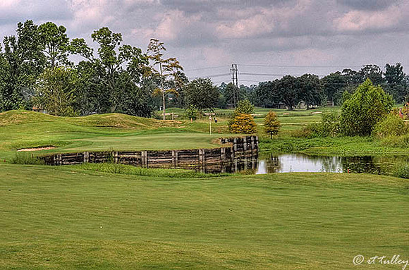 Atchafalaya #13