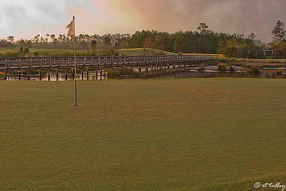 Gray Plantation #6 Green