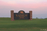 Black Bear Sign