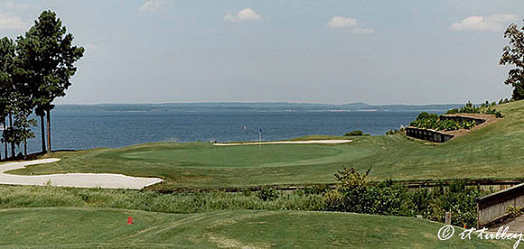 Cypress Bend #17