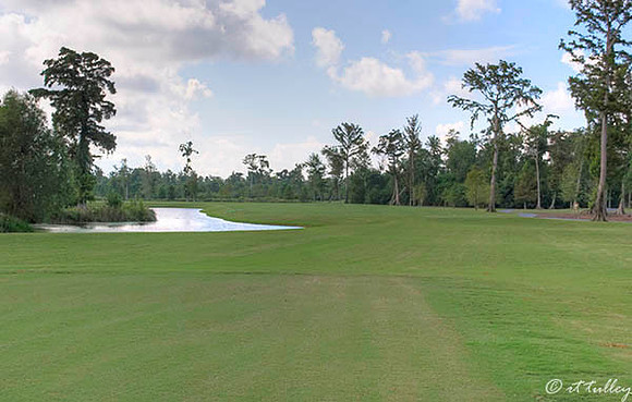 TPC Louisiana #6