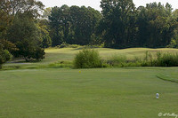 Olde Oaks Cypress #2