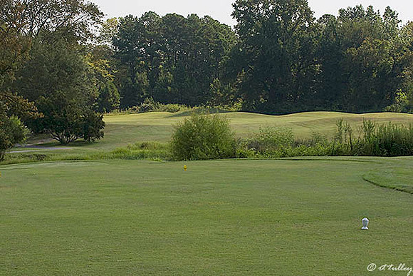 Olde Oaks Cypress #2