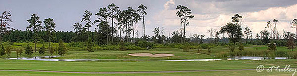 Gray Plantation #17 Panorama