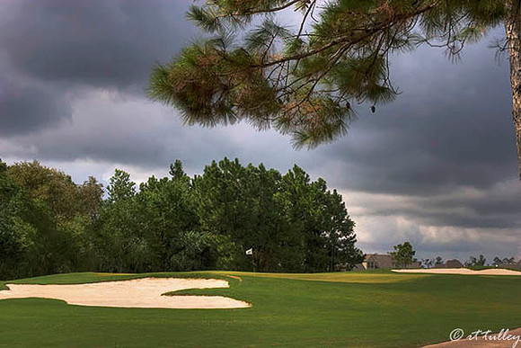 Gray Plantation #1