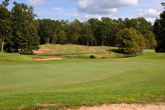 Cypress Bend #16