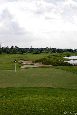Atchafalaya #14