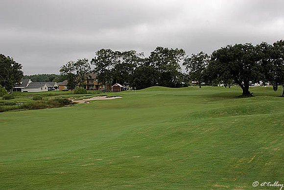Atchafalaya #14