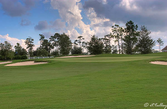 Gray Plantation #3 green