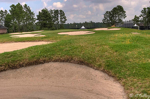 Gray Plantation #9